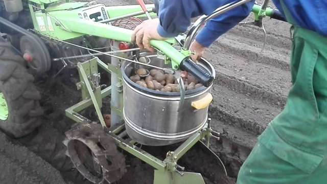 Процесс окучивания картофеля